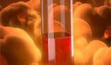 王室最新爆料新闻内容视频,最新爆料视频深度解析